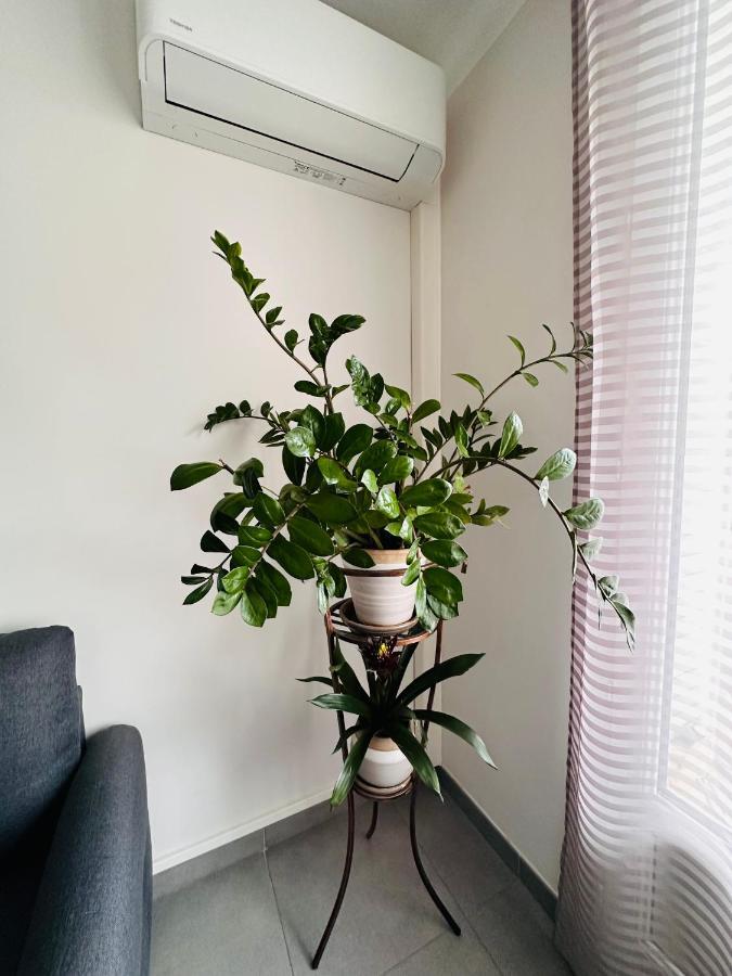 Le Soulier De Notre Dame Appartement Marseilles Buitenkant foto